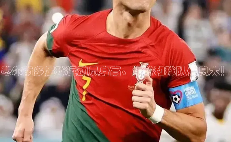 贝博 艾弗森百度取证费尔南多足球运动员身高、年龄和球队信息大！