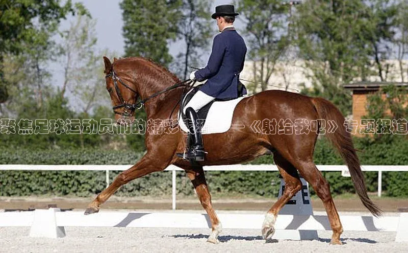 bb体育官网app下载巴美列捷福聚焦足球运动员们的精彩表现——《射给我吧》专题报道