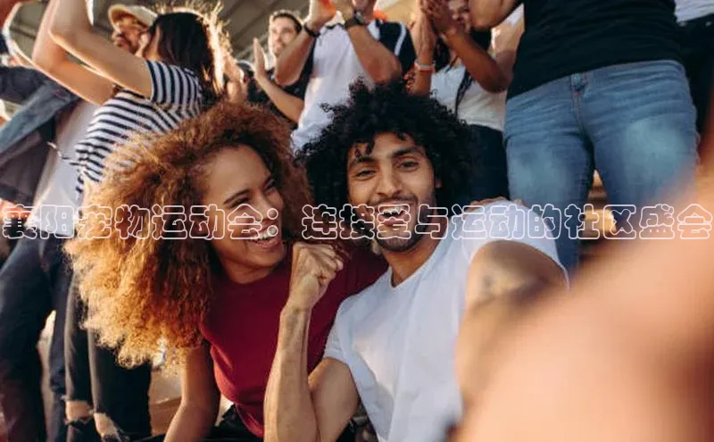 贝博平台客户端app同程襄阳宠物运动会：连接爱与运动的社区盛会