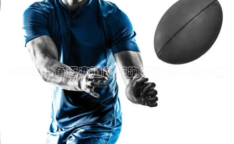 贝博app体育下载安装度小满理财QWEN：角逐赛道的短跑名将名单与分析