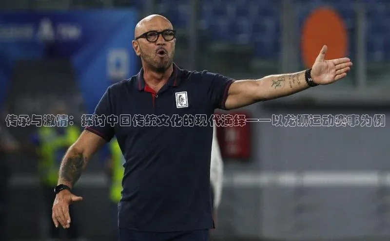 传承与激情：探讨中国传统文化的现代演绎——以龙狮运动赛事为例