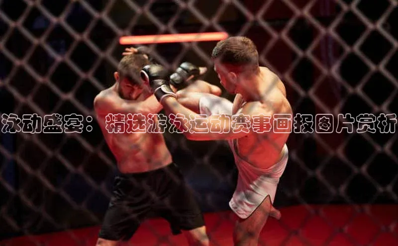 泳动盛宴：精选游泳运动赛事画报图片赏析