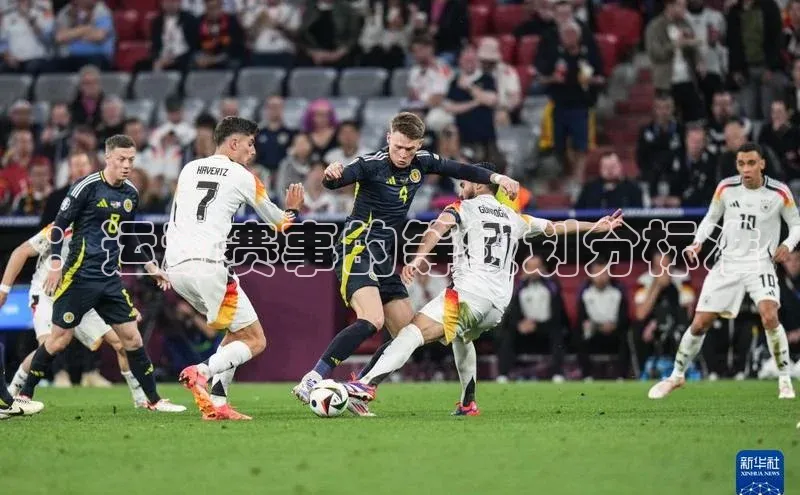 ：运动赛事的等级划分标准