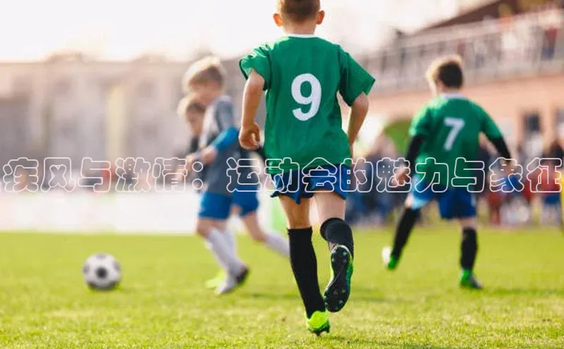 疾风与激情：运动会的魅力与象征