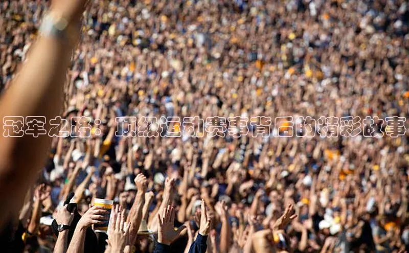 冠军之路：顶级运动赛事背后的精彩故事