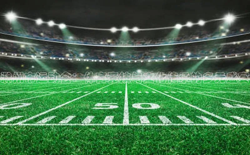 滁州市运动会：体育竞技与文化传承的多元盛宴