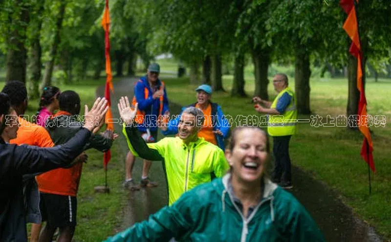 罕见的体育盛宴：一场极限挑战与团队协作的盛宴——冰上曲棍球赛