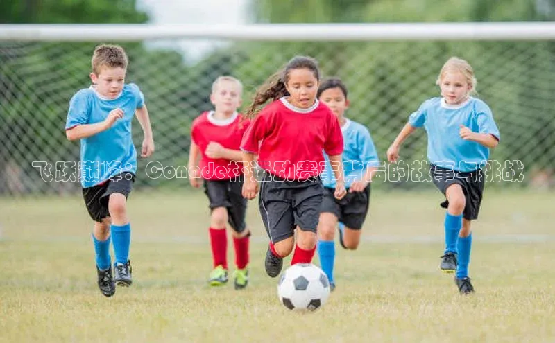飞跃巅峰：Conade杯运动赛事背后的故事与挑战