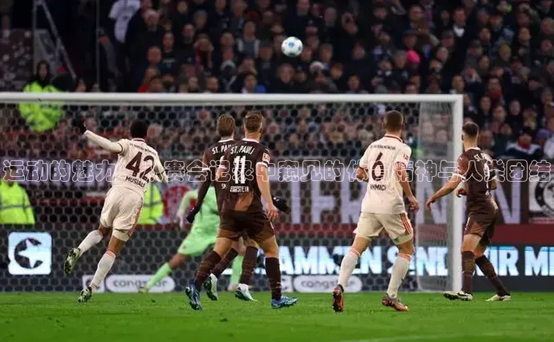 运动的魅力：从赛会记录中窥见的体育精神与人类团结