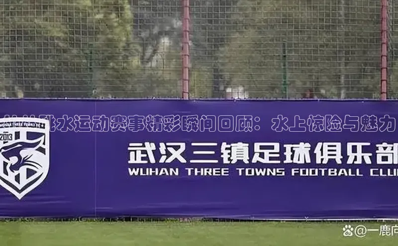 柏林跳水运动赛事精彩瞬间回顾：水上惊险与魅力