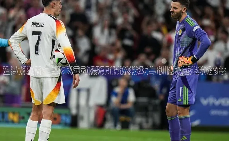 驾驭激情：马术运动赛事解说技巧与训练方法的深度