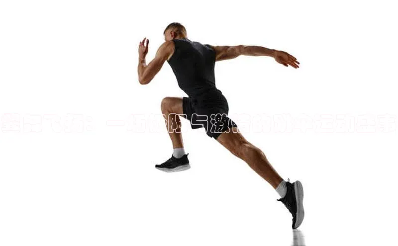 翼舞飞扬：一场极限与激情的跳伞运动盛事