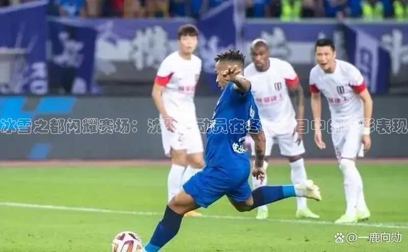 冰雪之都闪耀赛场：沈阳运动员在冬季项目中的精彩表现