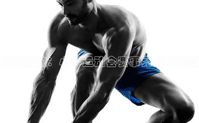 活力绽放：小学运动会赛事亮点与展望