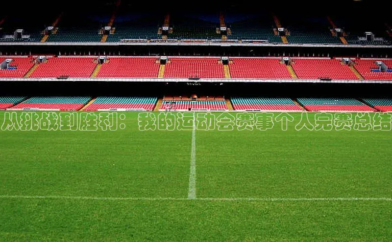 从挑战到胜利：我的运动会赛事个人完赛总结