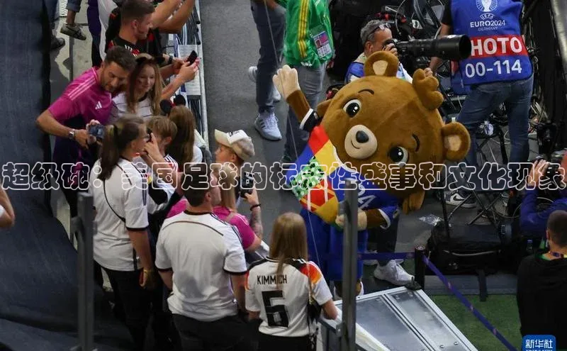 超级碗：美国足球的标志性盛事和文化现象