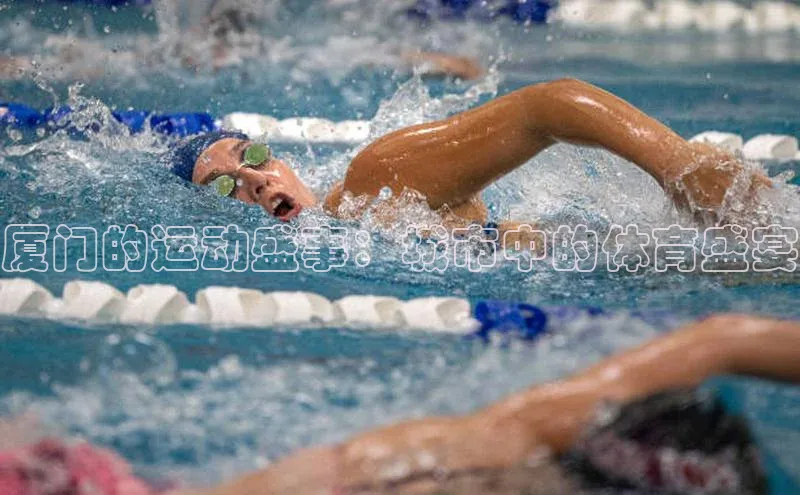 厦门的运动盛事：城市中的体育盛宴