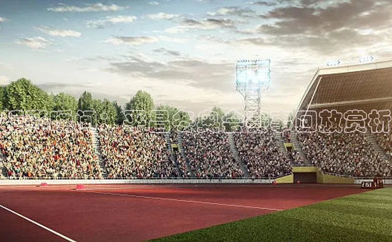 精彩瞬间：平昌冬奥会赛事回放赏析