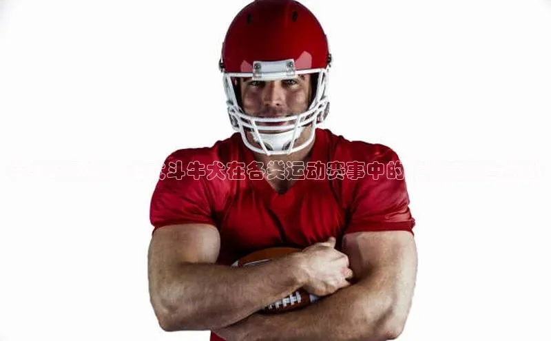 法斗的风采：法式斗牛犬在各类运动赛事中的精彩表现与挑战