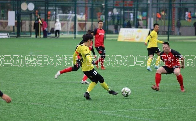 运动赛事术语：国际标准与实践指南