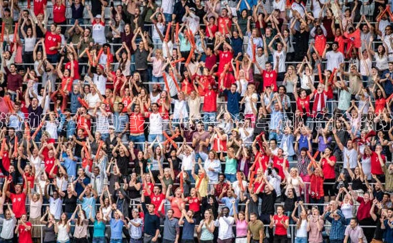 运动赛事中的重大受伤率分析与预防策略探讨