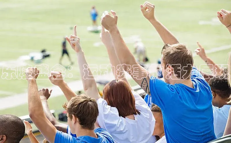 乐陵盛会：运动赛事的活力展现